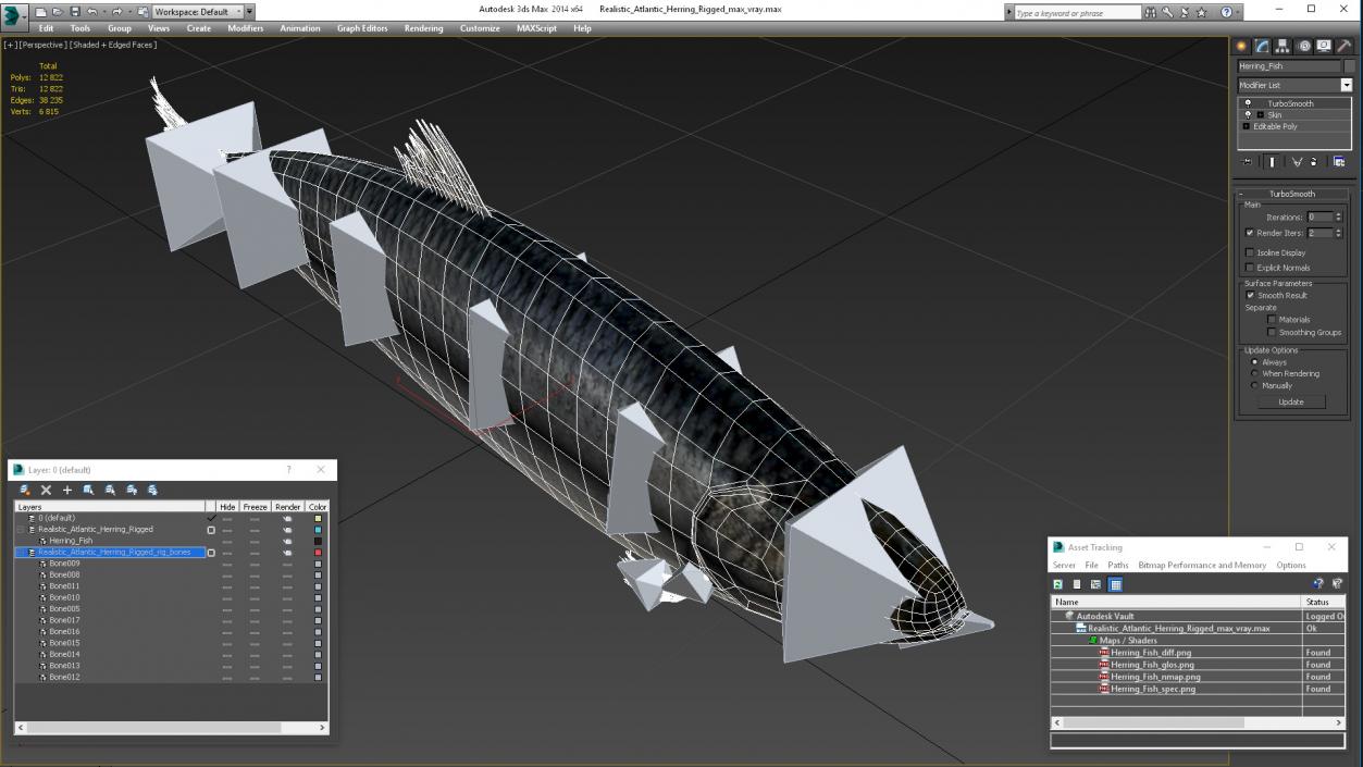 3D Realistic Atlantic Herring Rigged model