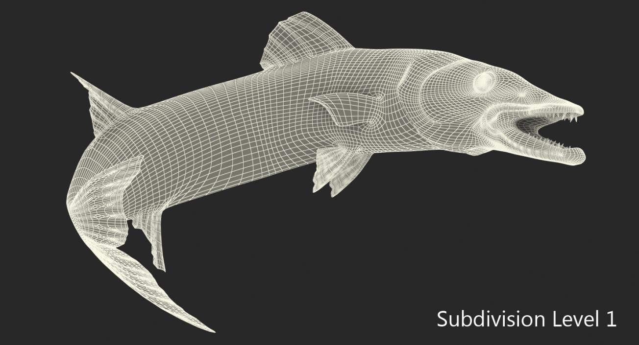 3D Barracuda Fish Pose 3