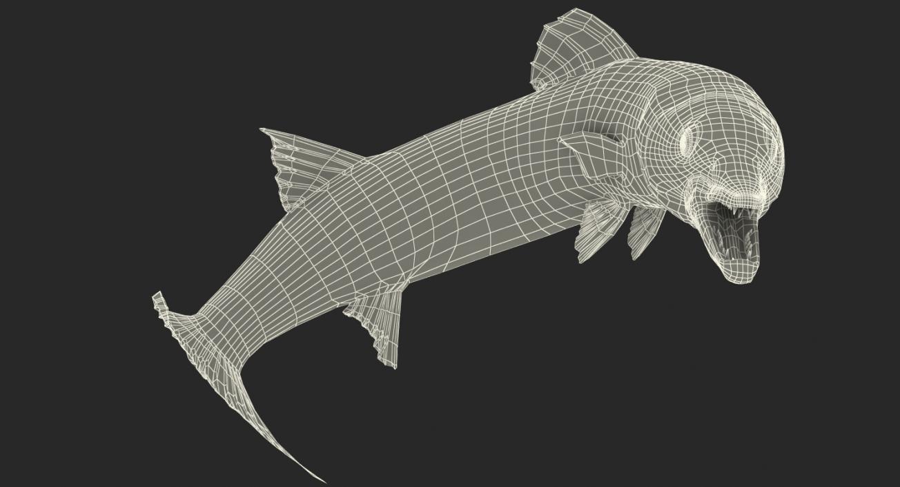 3D Barracuda Fish Pose 3