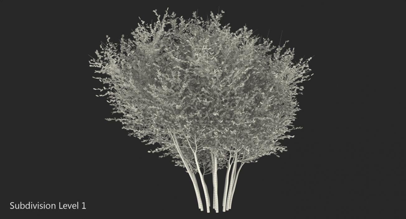 3D model Big Bush