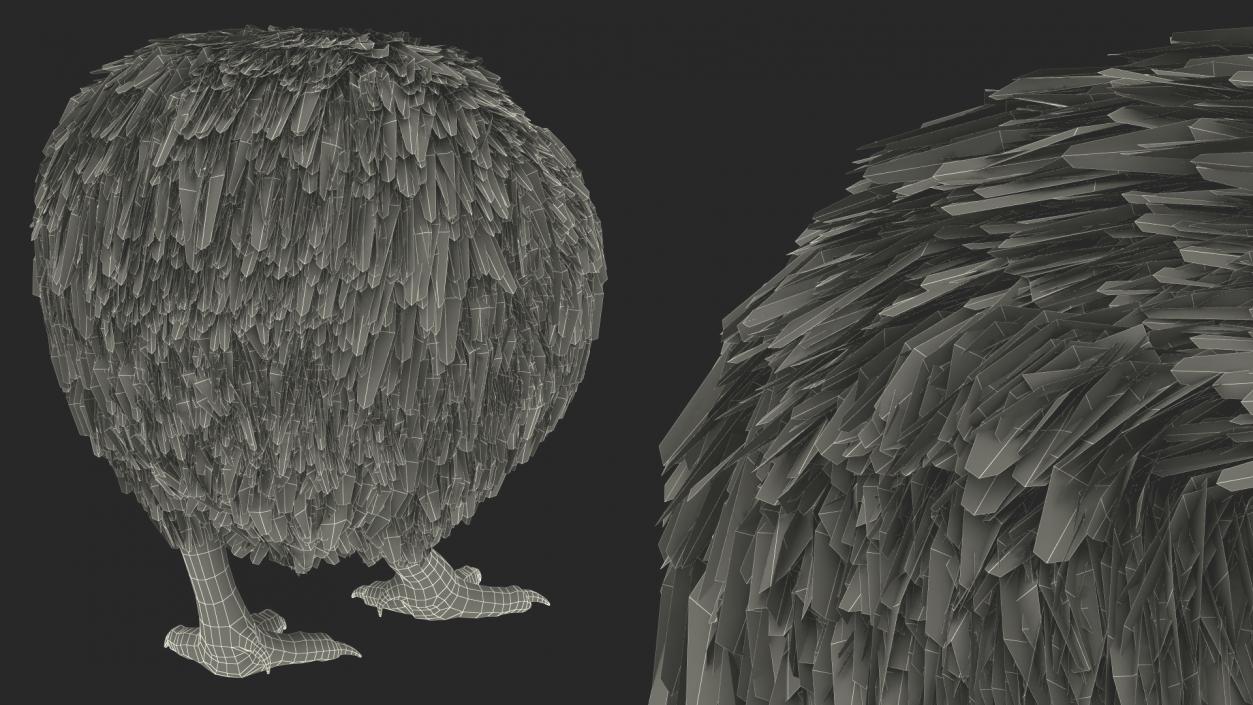 3D Cute Kiwi Bird Fur model