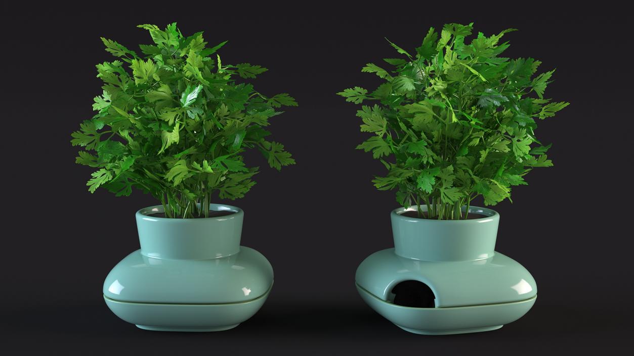 Stoneware Single Herb Pot Green with Parsley 3D model