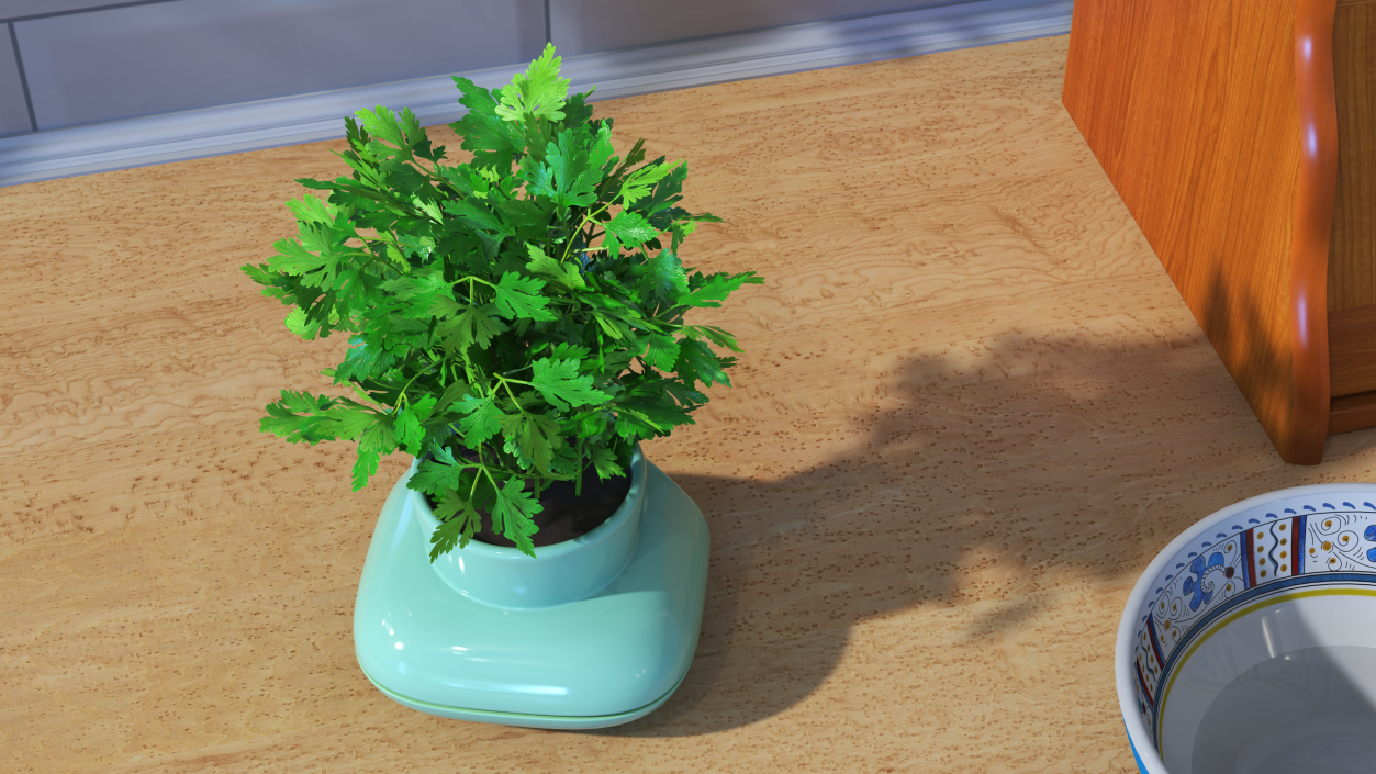 Stoneware Single Herb Pot Green with Parsley 3D model