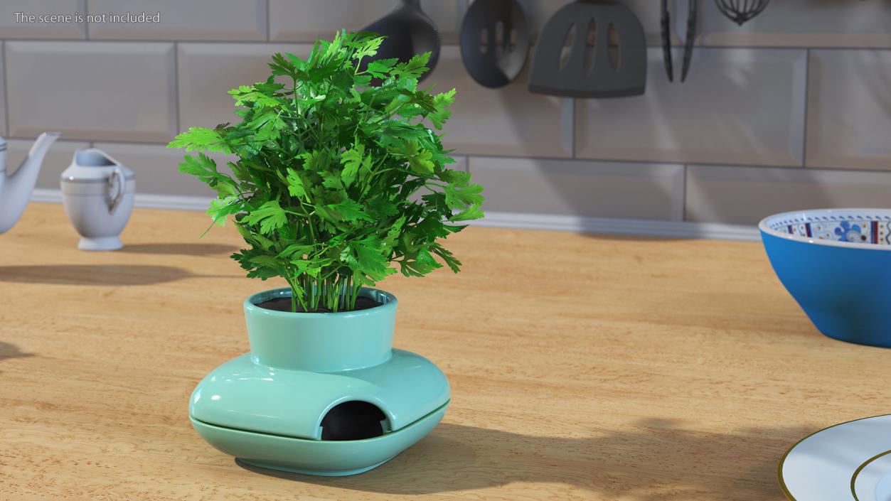 Stoneware Single Herb Pot Green with Parsley 3D model