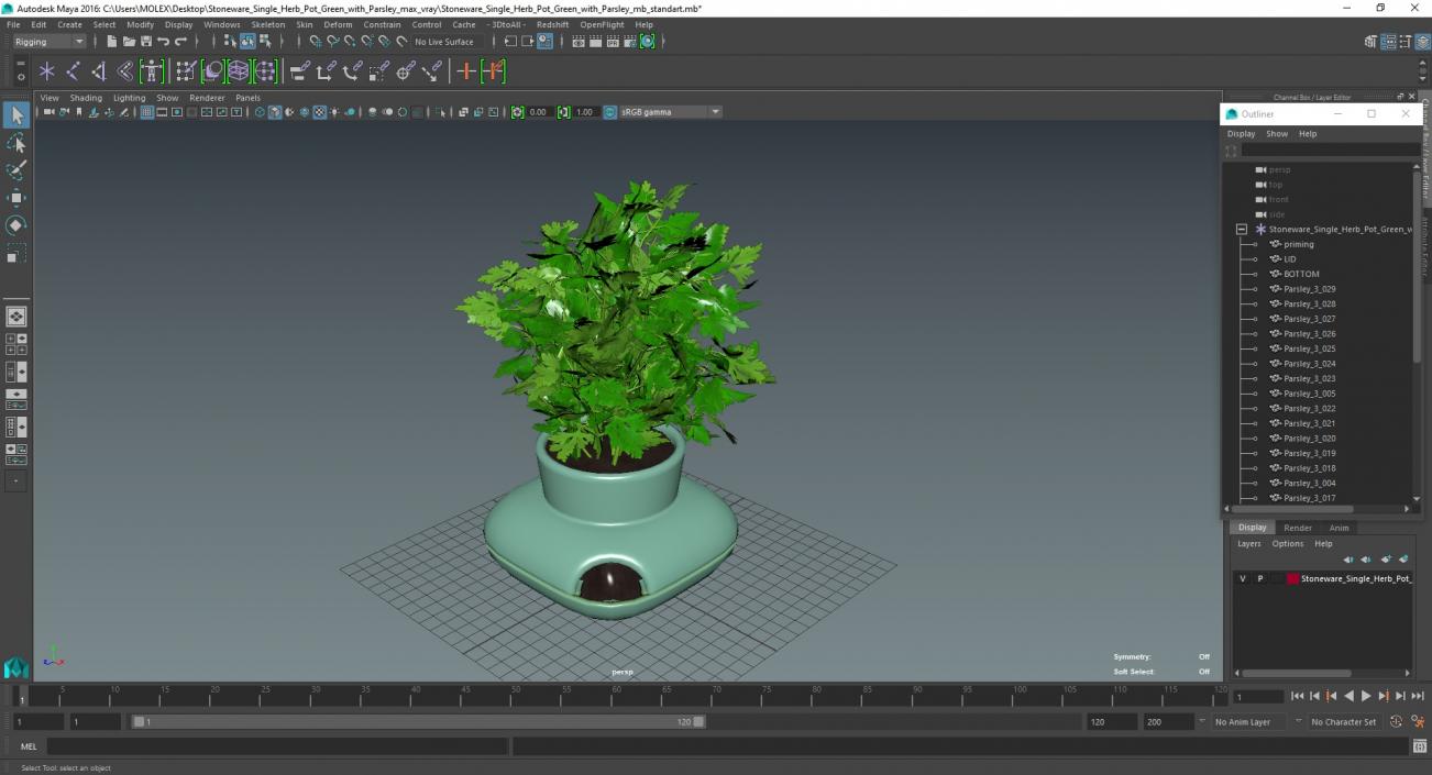 Stoneware Single Herb Pot Green with Parsley 3D model