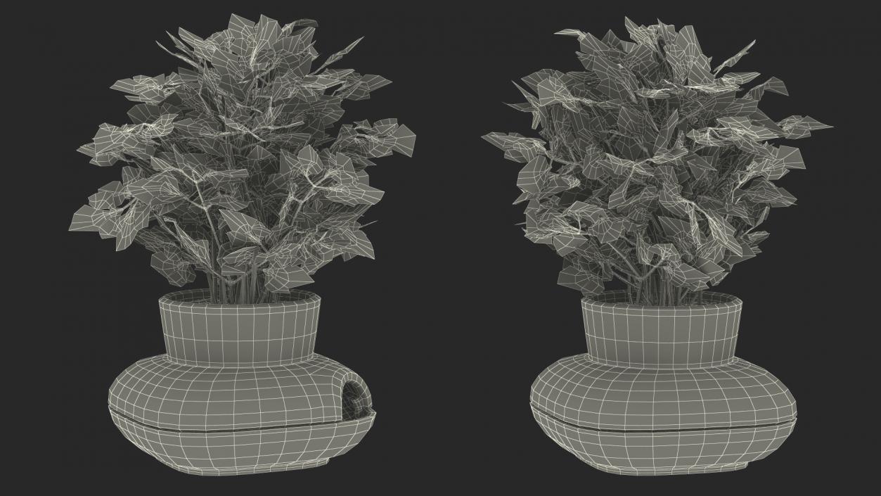 Stoneware Single Herb Pot Green with Parsley 3D model