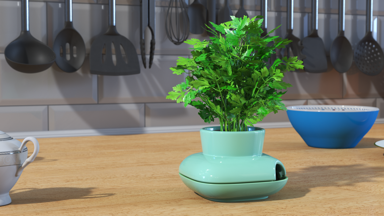 Stoneware Single Herb Pot Green with Parsley 3D model