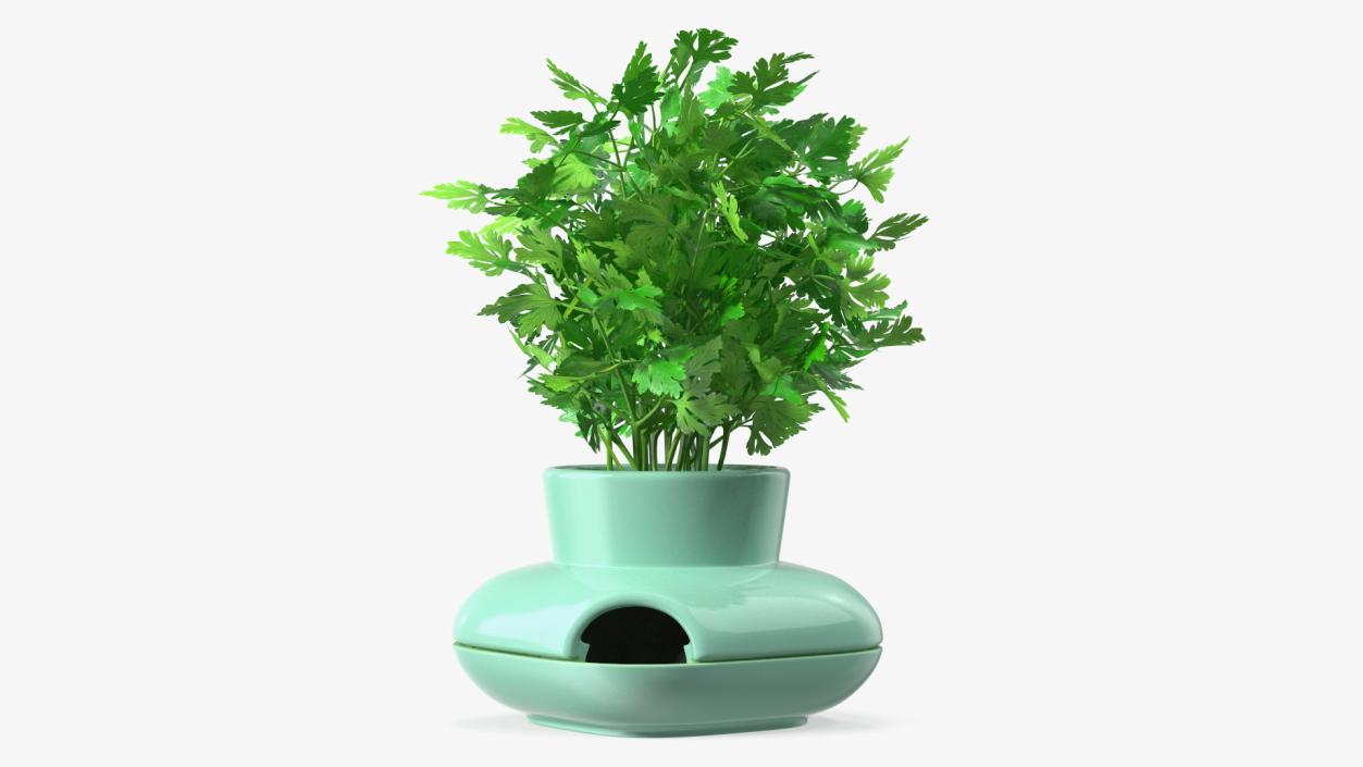 Stoneware Single Herb Pot Green with Parsley 3D model