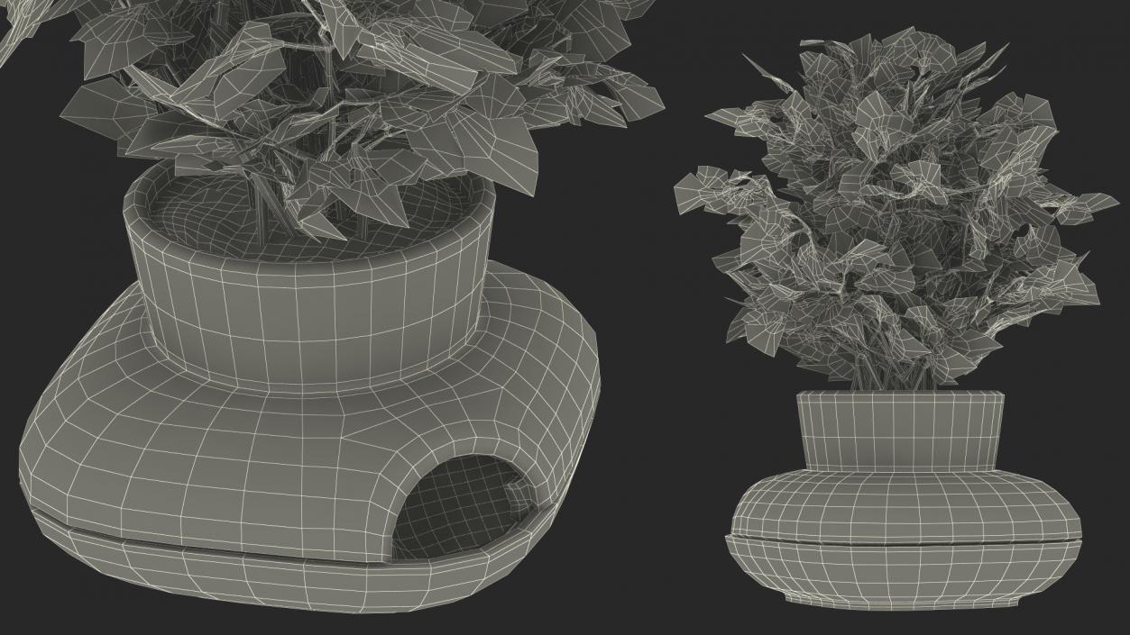 Stoneware Single Herb Pot Green with Parsley 3D model