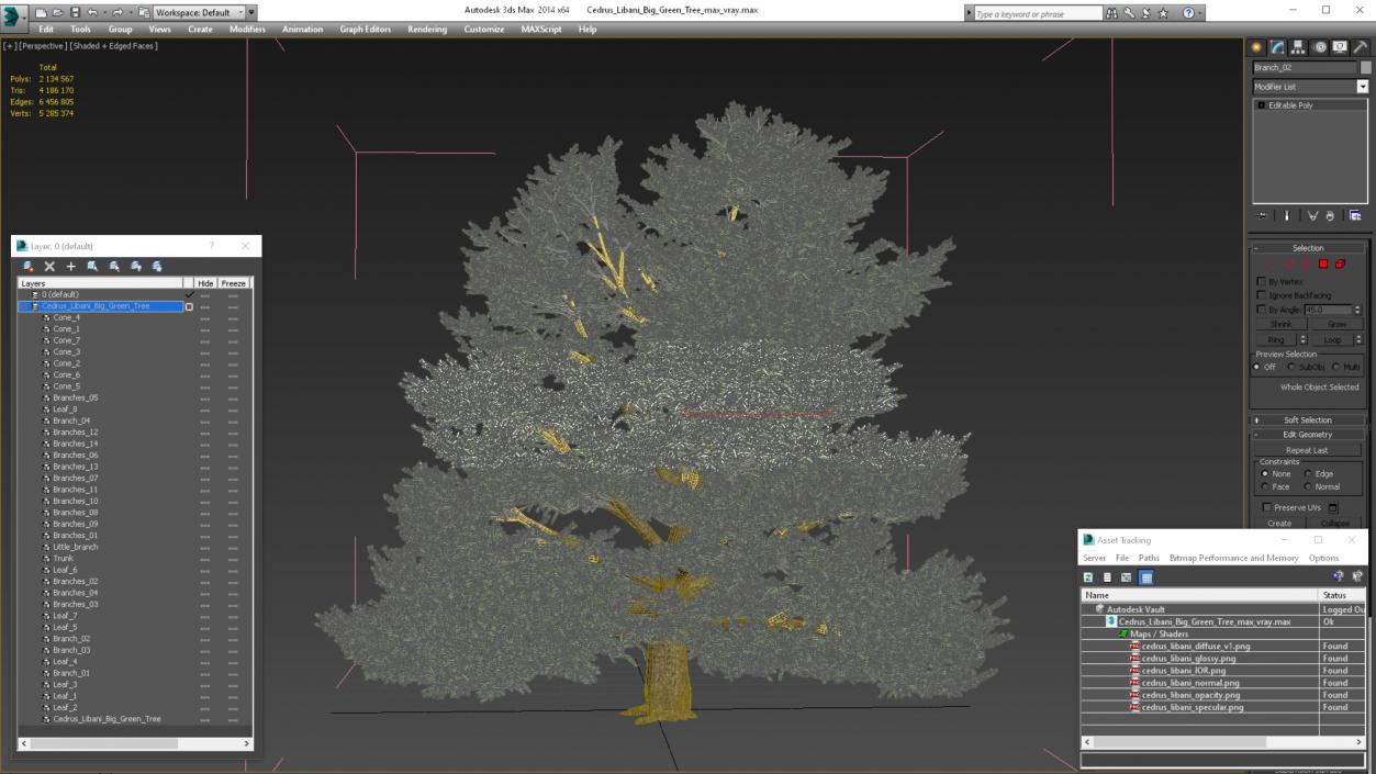 3D Cedrus Libani Big Green Tree model