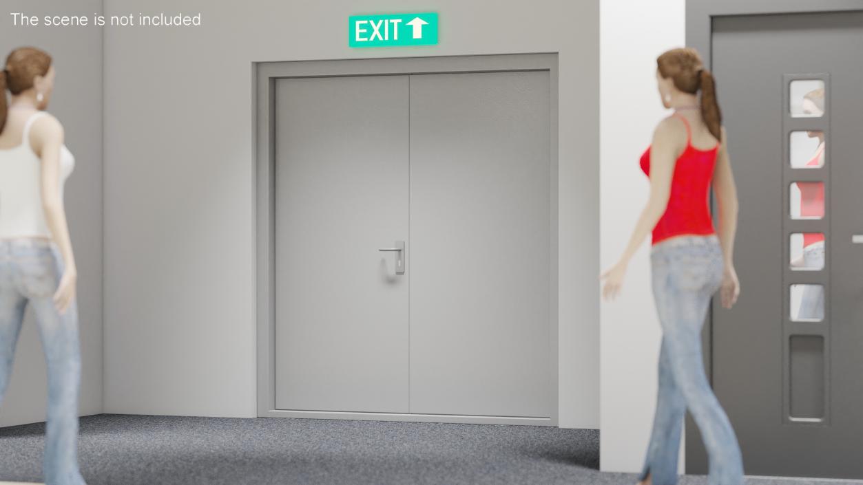 3D model Exit Emergency Doors Grey