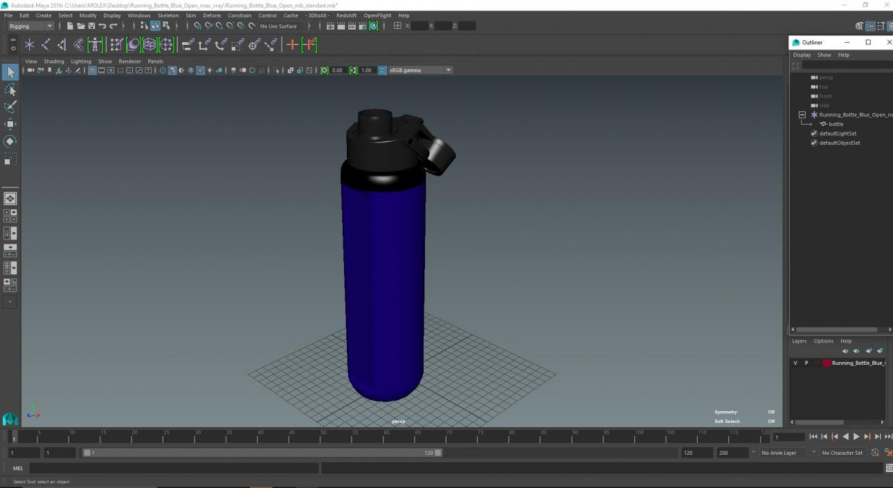 Running Bottle Blue Open 3D model