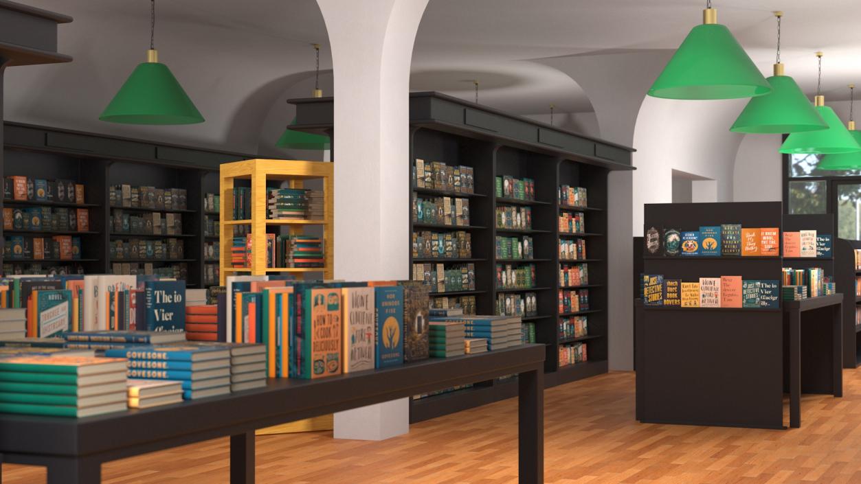 Interior of Book Store No Lights 3D