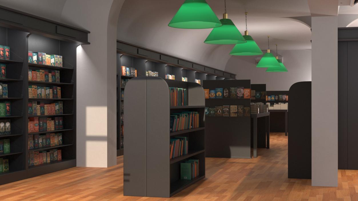 Interior of Book Store No Lights 3D