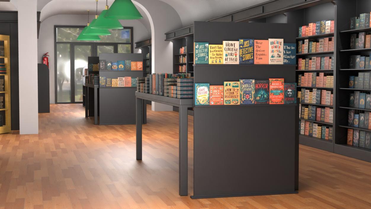 Interior of Book Store No Lights 3D