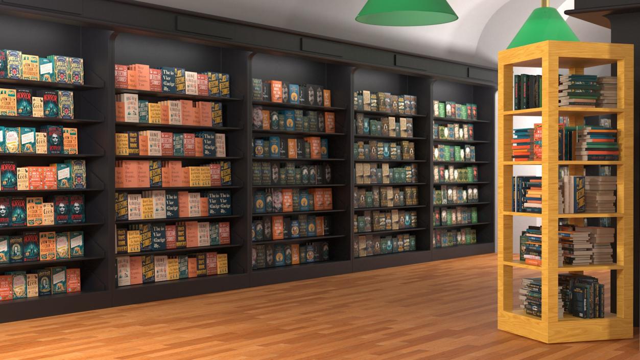 Interior of Book Store No Lights 3D