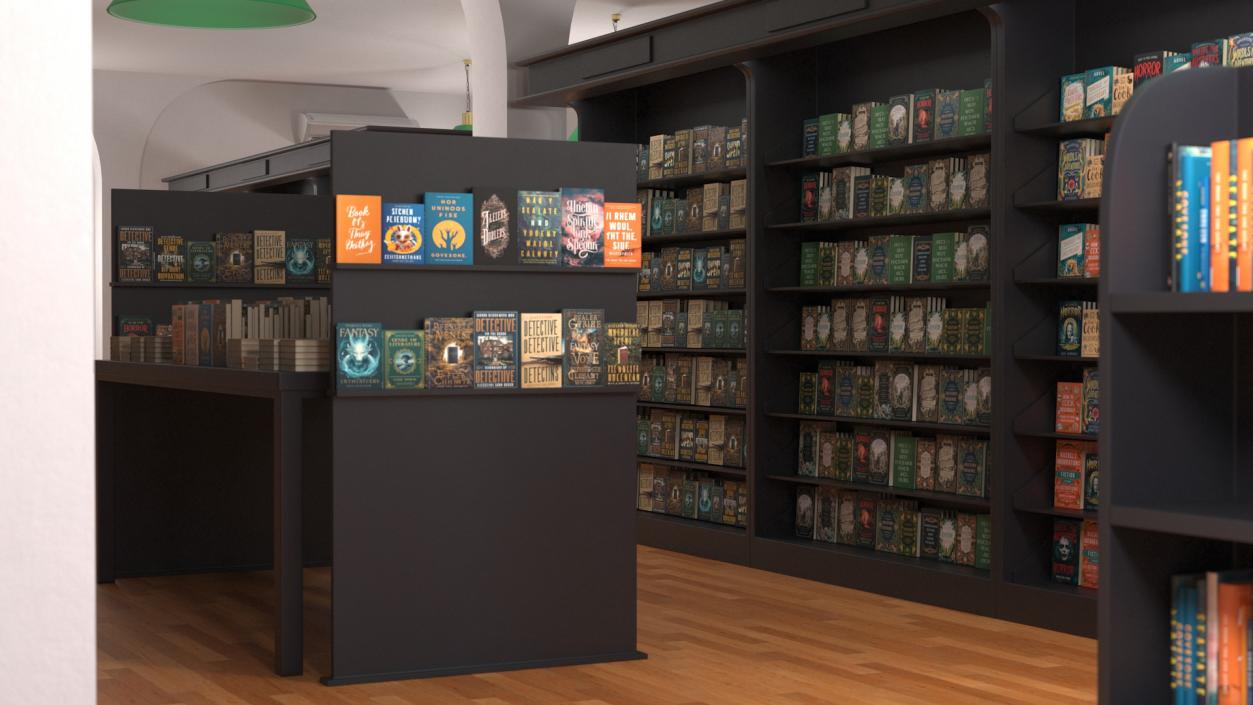 Interior of Book Store No Lights 3D