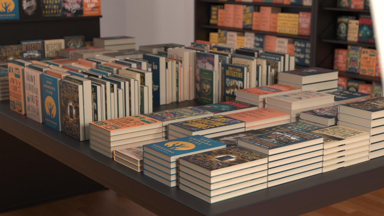 Interior of Book Store No Lights 3D