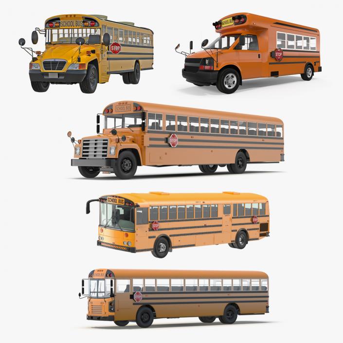 3D model School Buses Collection 3