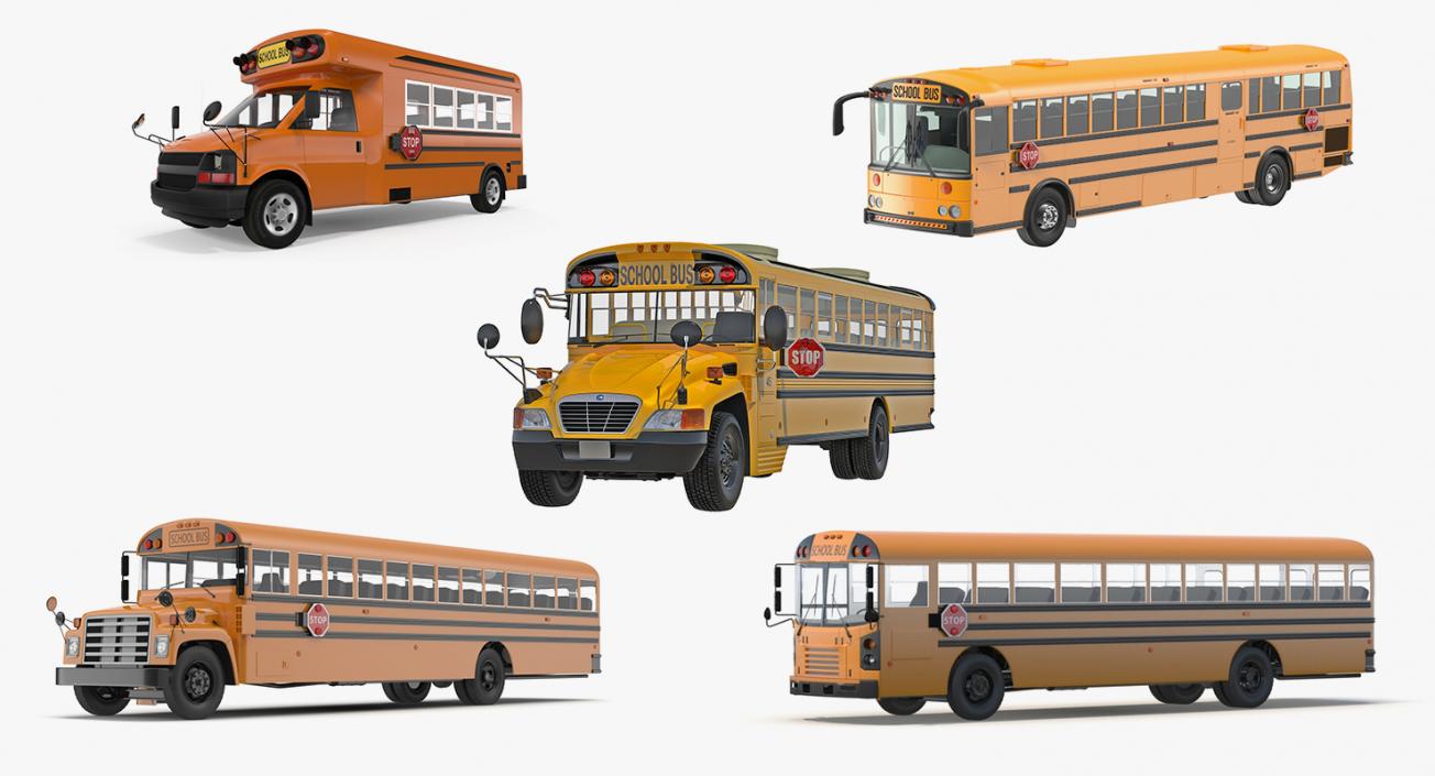 3D model School Buses Collection 3