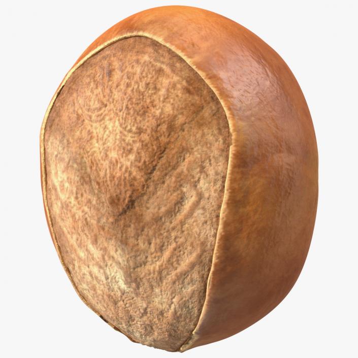 3D model Shea Nut