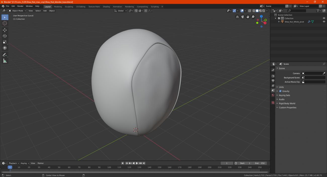 3D model Shea Nut