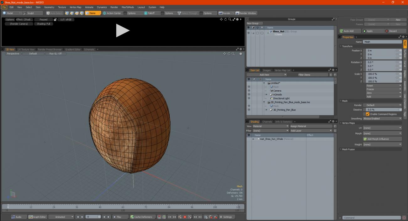 3D model Shea Nut