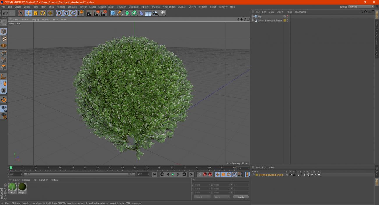 Green Boxwood Shrub 3D model