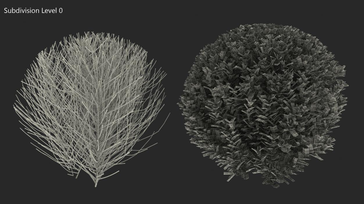 Green Boxwood Shrub 3D model