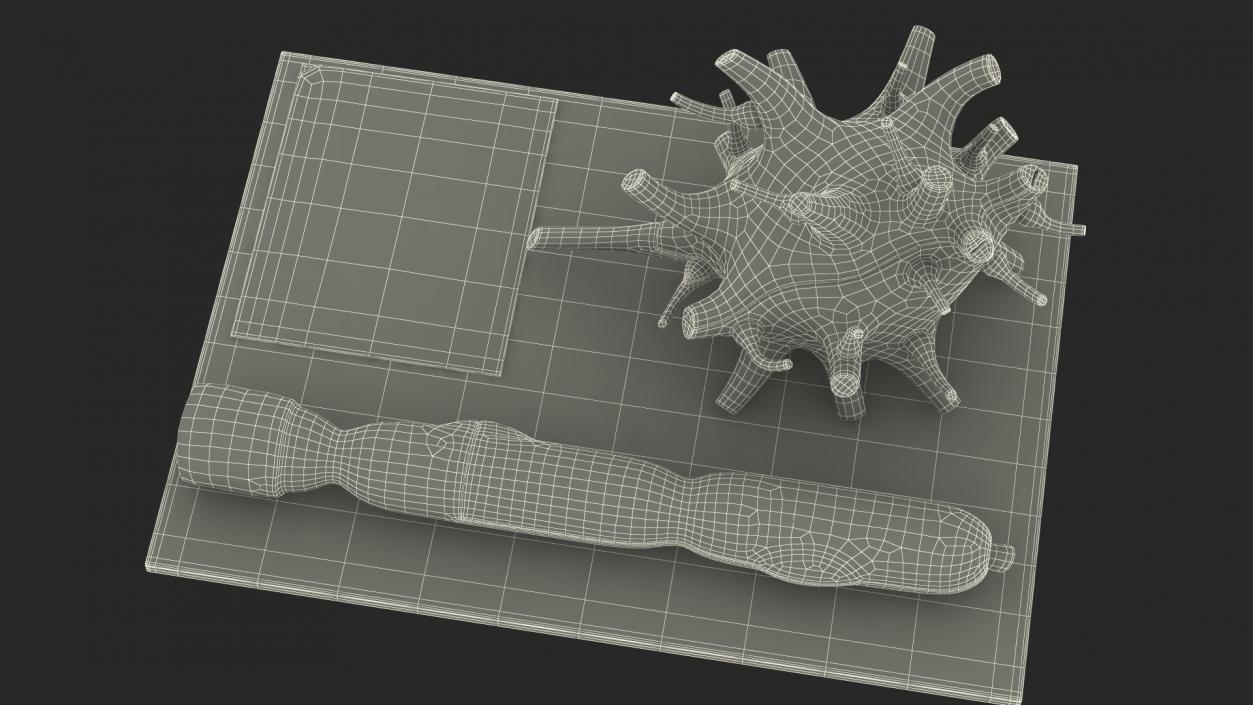 Human Neuron Model on Stand 3D