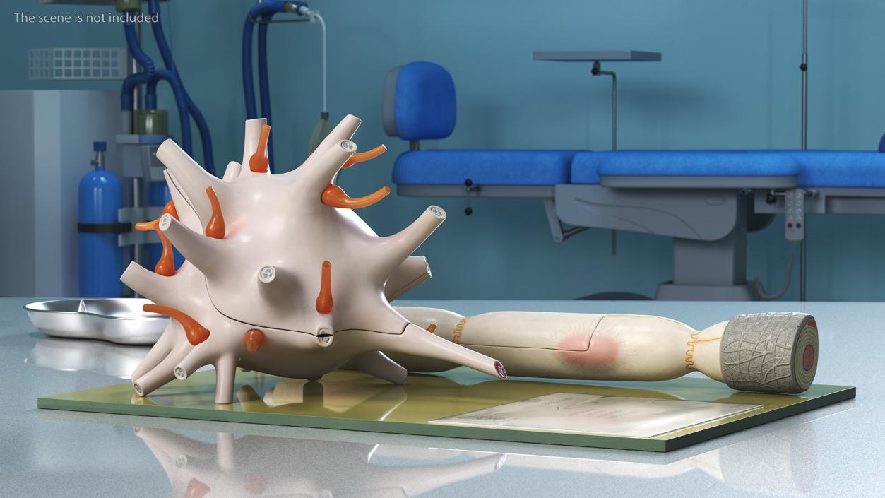 Human Neuron Model on Stand 3D