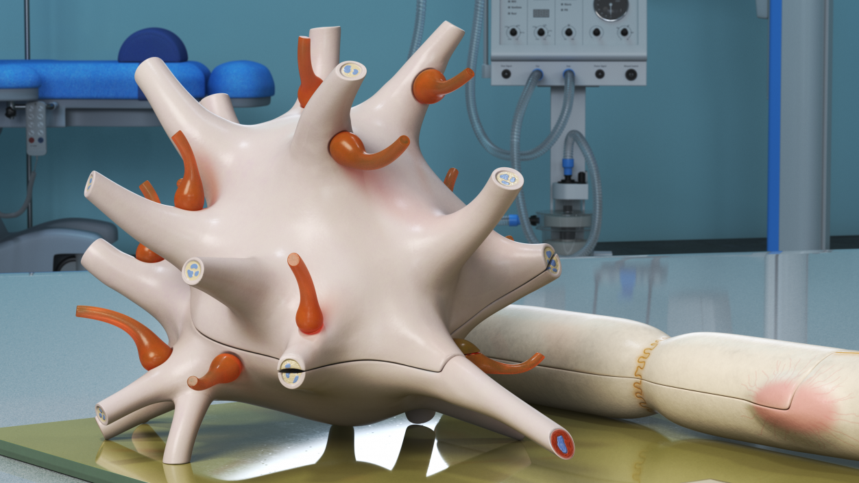 Human Neuron Model on Stand 3D