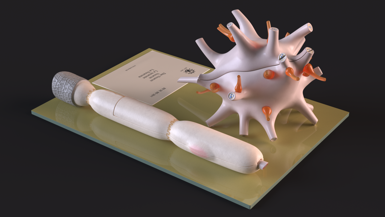 Human Neuron Model on Stand 3D