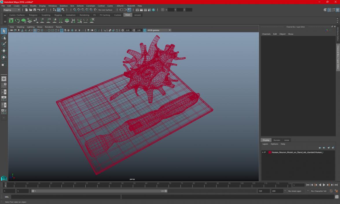 Human Neuron Model on Stand 3D