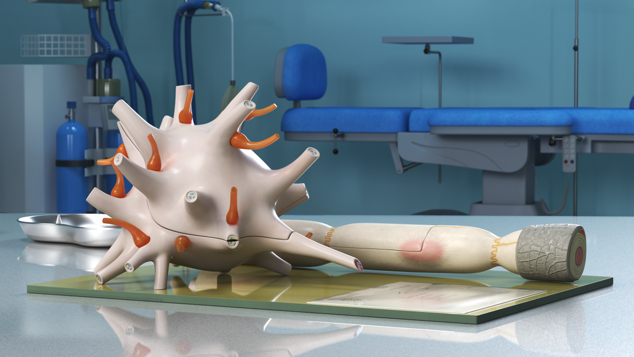 Human Neuron Model on Stand 3D