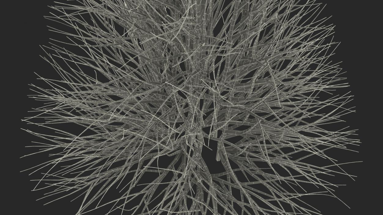 3D Bare Branches model