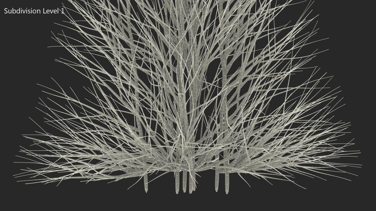 3D Bare Branches model