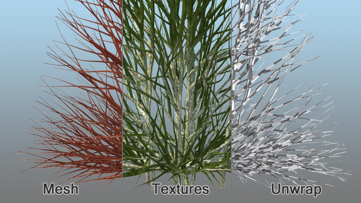 3D Bare Branches model