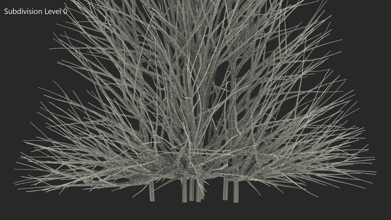 3D Bare Branches model