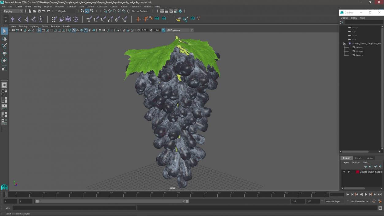 3D Grapes Sweet Sapphire with Leaf