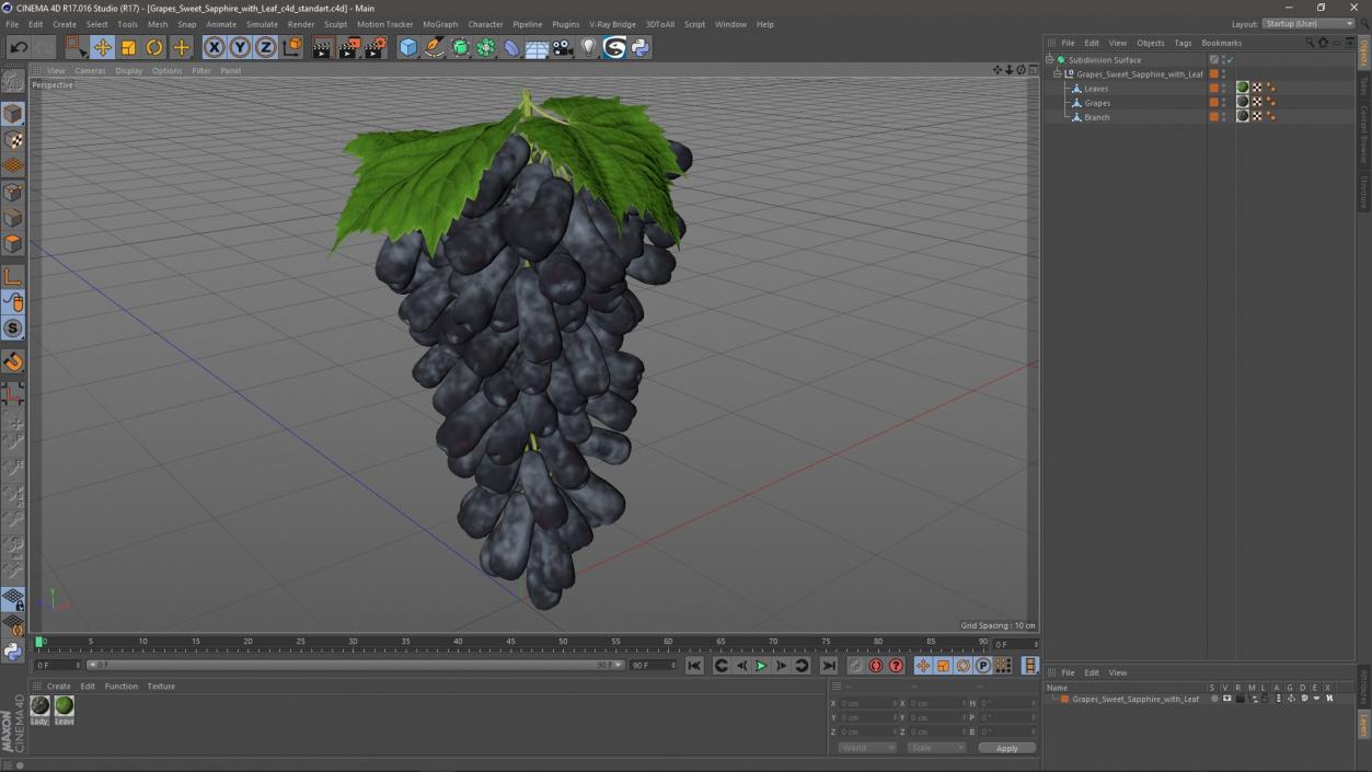 3D Grapes Sweet Sapphire with Leaf