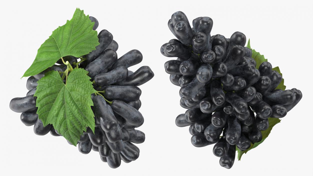 3D Grapes Sweet Sapphire with Leaf