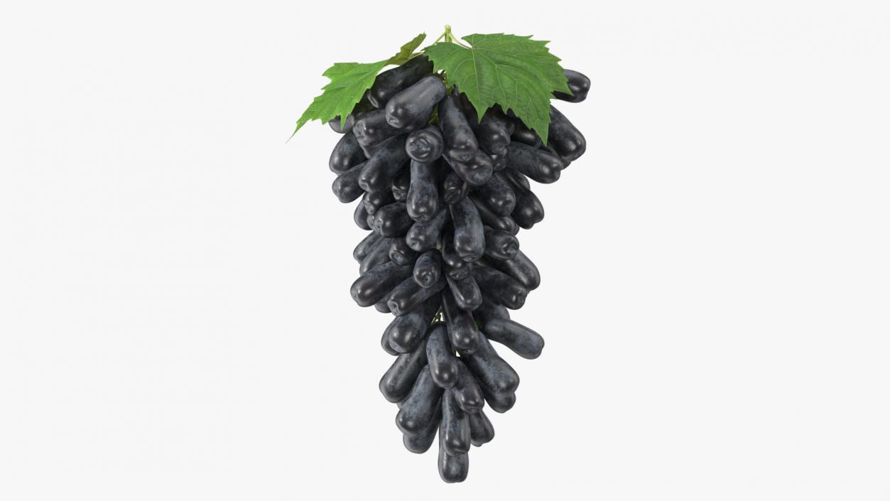 3D Grapes Sweet Sapphire with Leaf