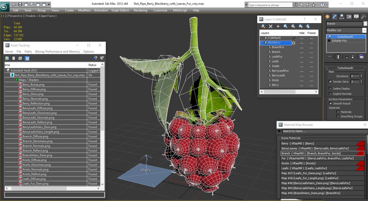 3D Not Ripe Berry Blackberry with Leaves Fur