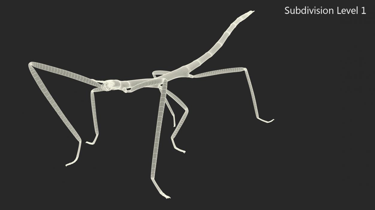 3D Stick Insect Green Walking Pose