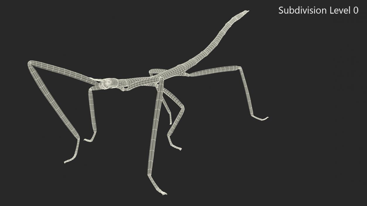 3D Stick Insect Green Walking Pose