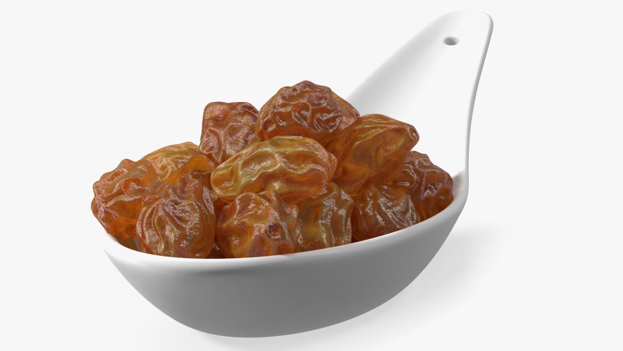 3D model Brown Sultanas in a Spoon