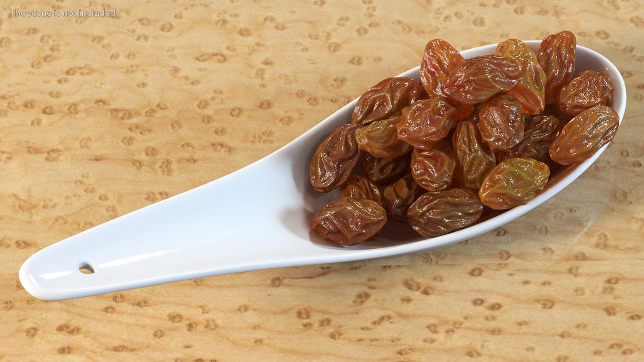 3D model Brown Sultanas in a Spoon