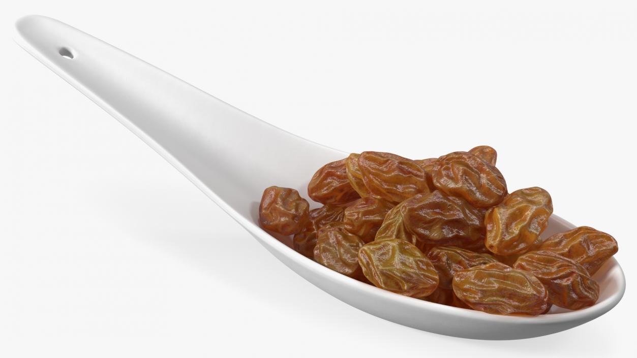 3D model Brown Sultanas in a Spoon