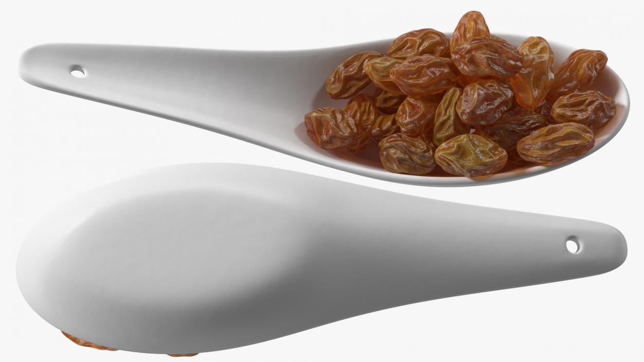 3D model Brown Sultanas in a Spoon